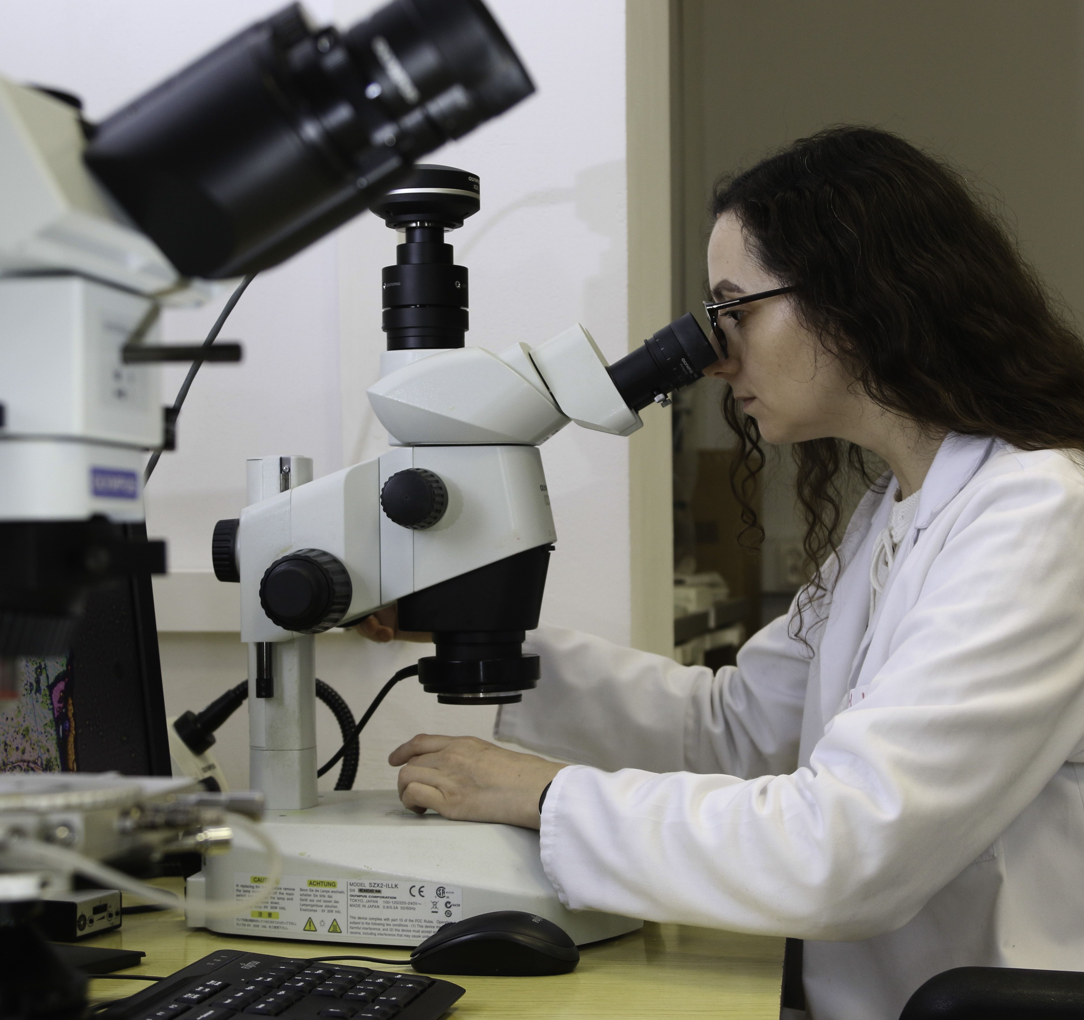 SZX19 microscope + XC50 camera