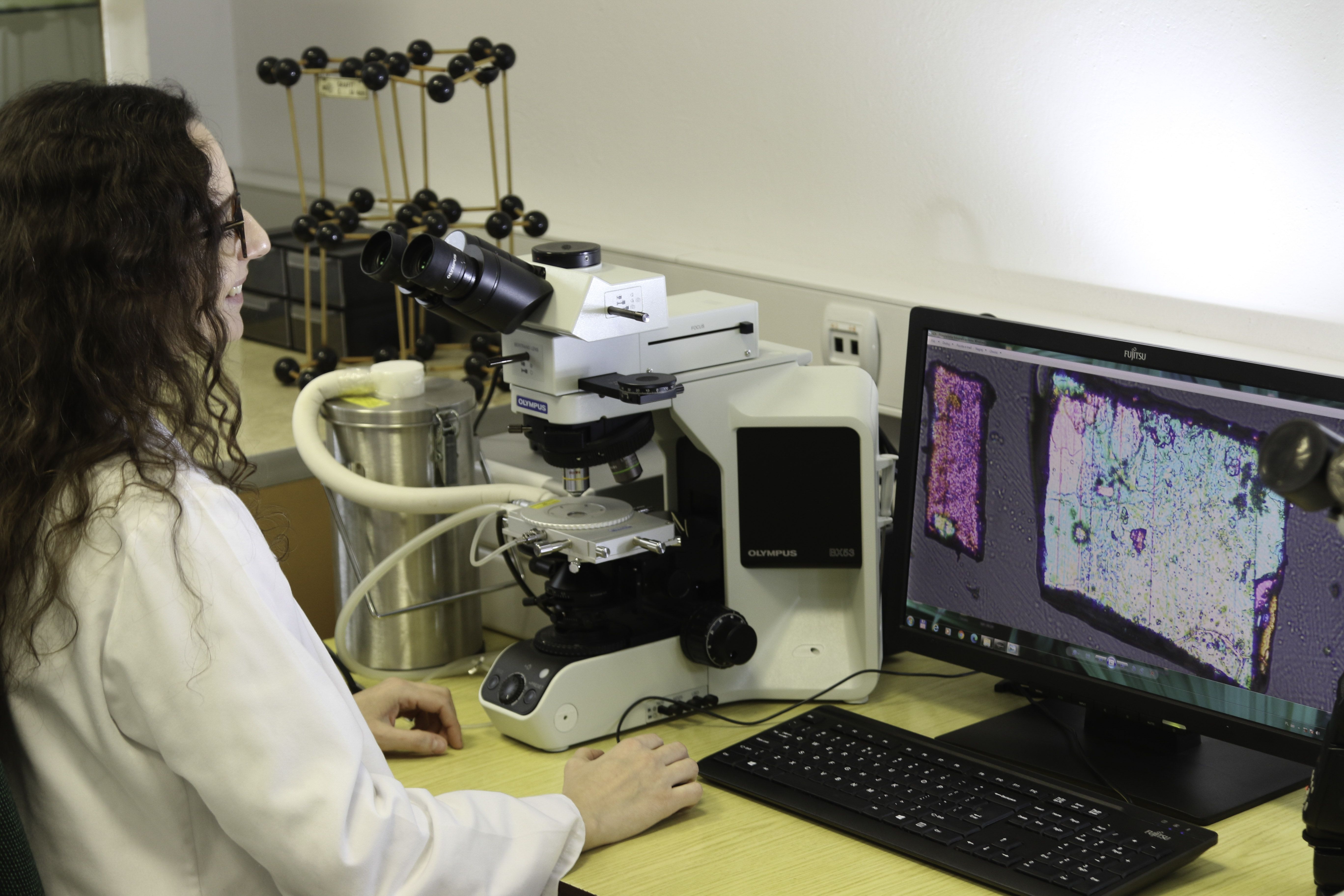 OLYMPUS BX53 microscope + Linkam THMS 600 temperature attachment + XC50 camera